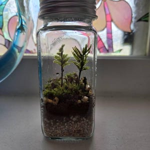 Melissa added a photo of their purchase