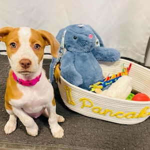 Anastasia added a photo of their purchase