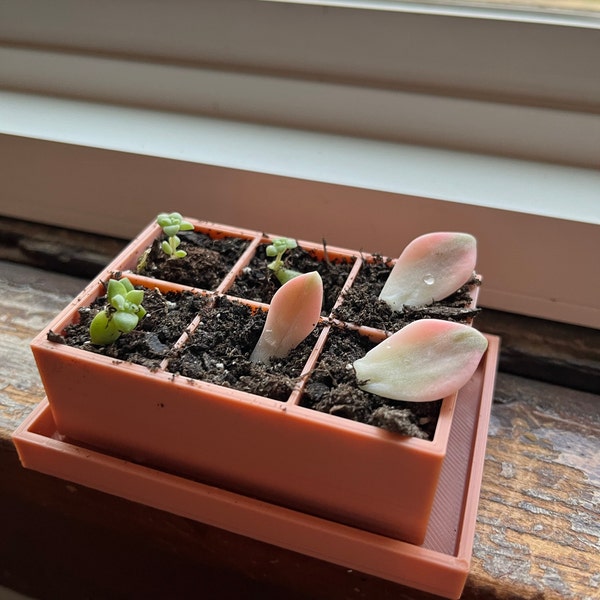 Jumbo Rifle Reloading Tray 100 Count Master - Etsy