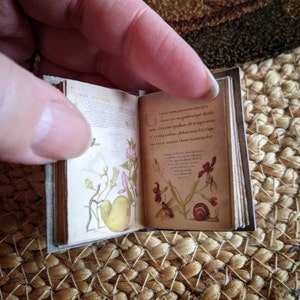 Garden Mini Books, Flowers, Rose, Mini Album, Necklace, Scrapbook ...