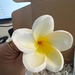 Lisa added a photo of their purchase