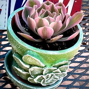 Amanda added a photo of their purchase