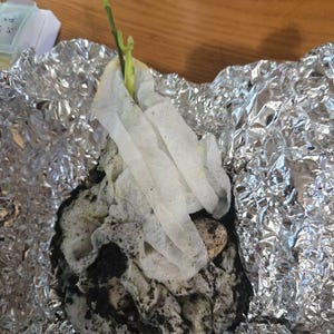 Inactive account added a photo of their purchase