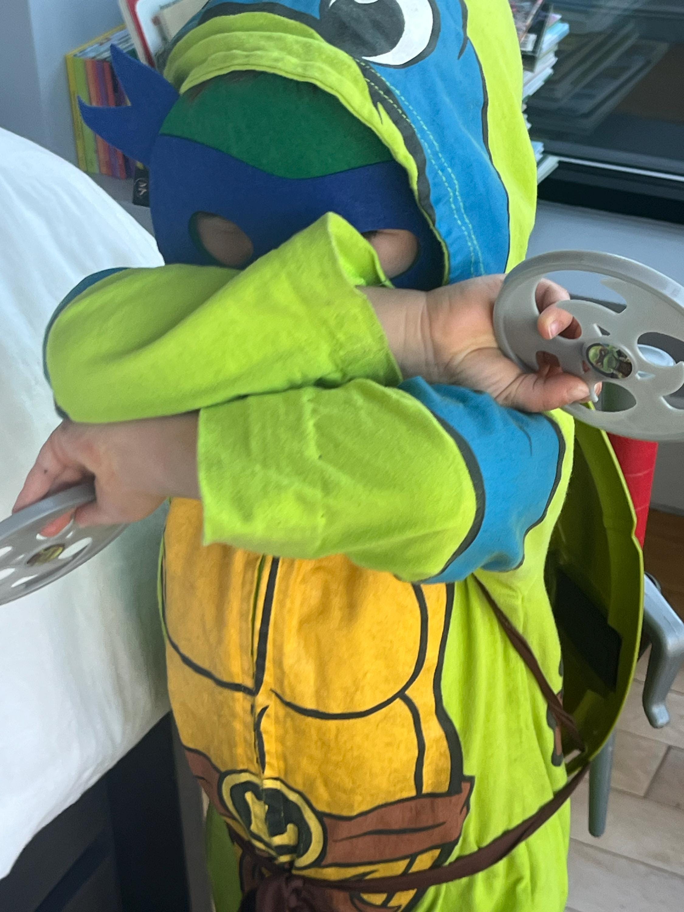 Inspired Ninja Turtle  Masks
