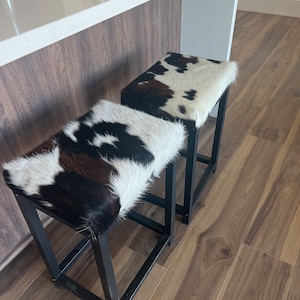 Dagmar added a photo of their purchase