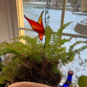 Judy added a photo of their purchase