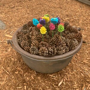 Cathy added a photo of their purchase