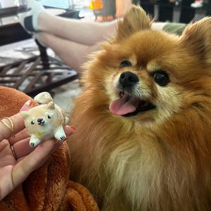 Emmie added a photo of their purchase