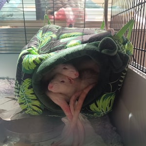 Maurice added a photo of their purchase