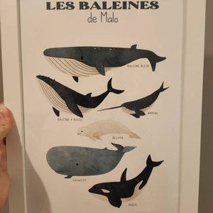 Margaud a ajouté une photo de son achat