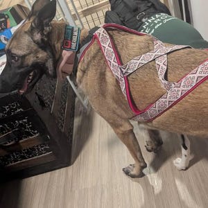 Pamela added a photo of their purchase