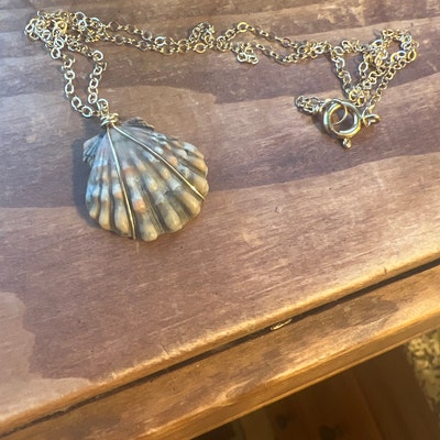 Moonrise Shell Necklace nickel Size, Gold Fill Necklace, Sunrise Shell ...