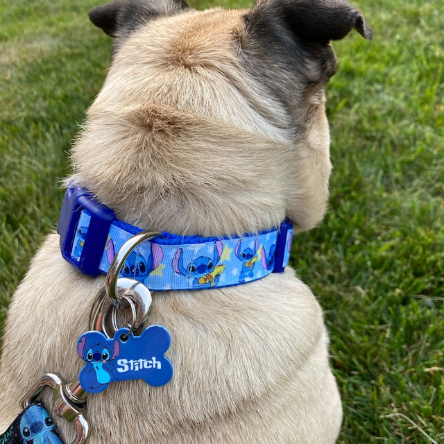 Stitch dog hot sale tag