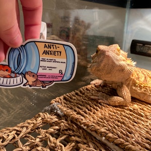 Remy added a photo of their purchase
