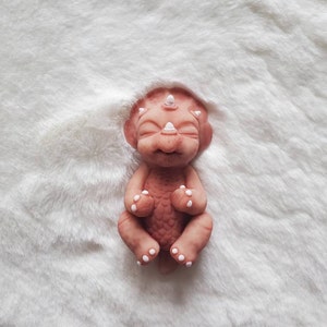 Danii adicionaram uma foto da sua compra