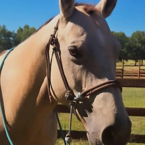 Sydney added a photo of their purchase