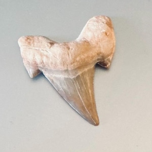 JEN-E added a photo of their purchase