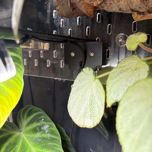 Jill added a photo of their purchase