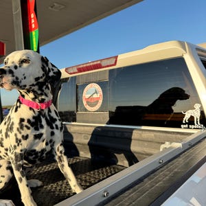 Timothy added a photo of their purchase