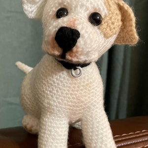 Kim added a photo of their purchase