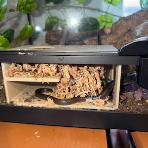 Shelby added a photo of their purchase