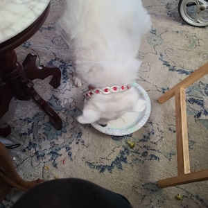 Susan added a photo of their purchase