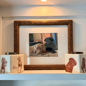 Rose added a photo of their purchase