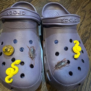 amy added a photo of their purchase