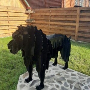 Inactive account added a photo of their purchase