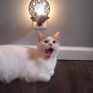 crystal a ajouté une photo de son achat