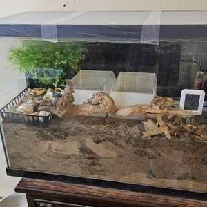 CYNTHIA added a photo of their purchase
