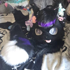 Thesleff added a photo of their purchase