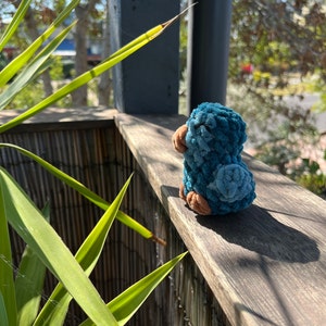Lucy added a photo of their purchase