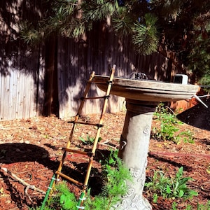 Whitney added a photo of their purchase