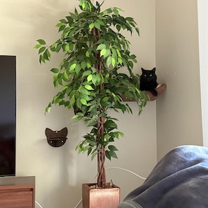 Gigi added a photo of their purchase