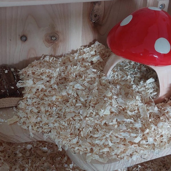 Image showcasing Warm Bed for Dwarf Hamsters, Hamsters Comfy Bed, Small Pets Accessories ...