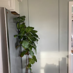 Christi added a photo of their purchase