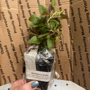 Michelle added a photo of their purchase