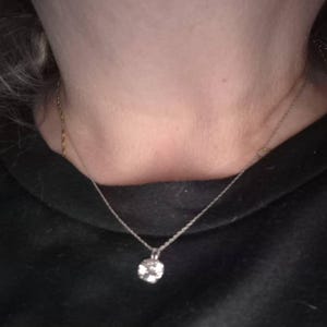 Theresa added a photo of their purchase
