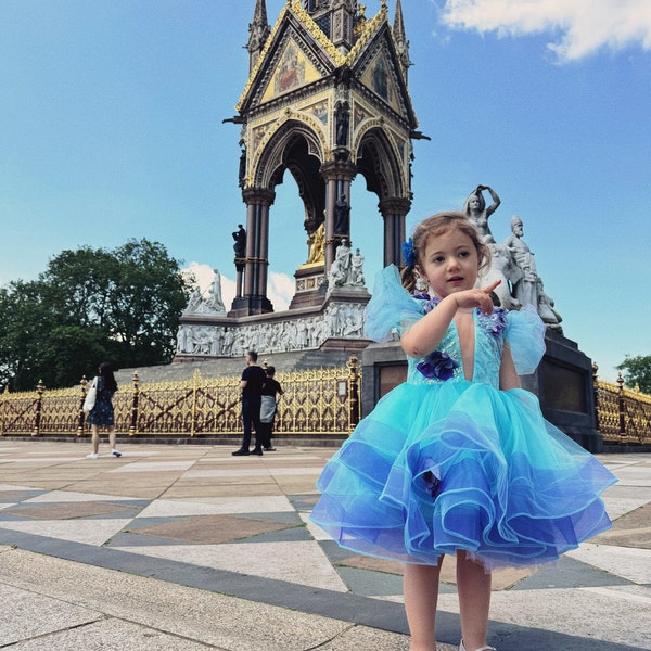 Butterfly Embellishments Birthday Baby Girl Dress