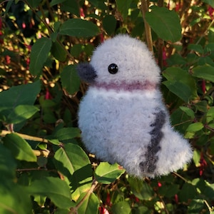 Susan added a photo of their purchase
