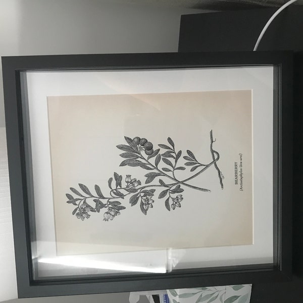 Vintage Botanical Prints Set of 8 Botanical Poster Wildflower Print ...