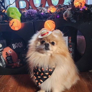 Mykala added a photo of their purchase