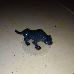 ShadowedWolfMoon added a photo of their purchase