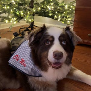 Laine added a photo of their purchase