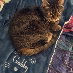 Amy added a photo of their purchase