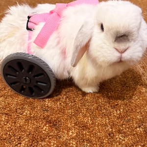 Justine added a photo of their purchase
