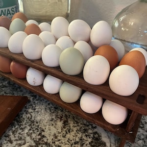 Ben adicionaram uma foto da sua compra