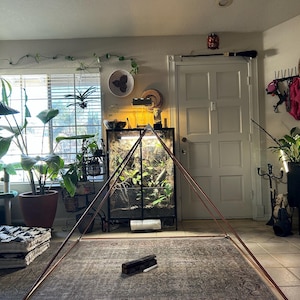 Amanda added a photo of their purchase