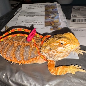 Amanda added a photo of their purchase
